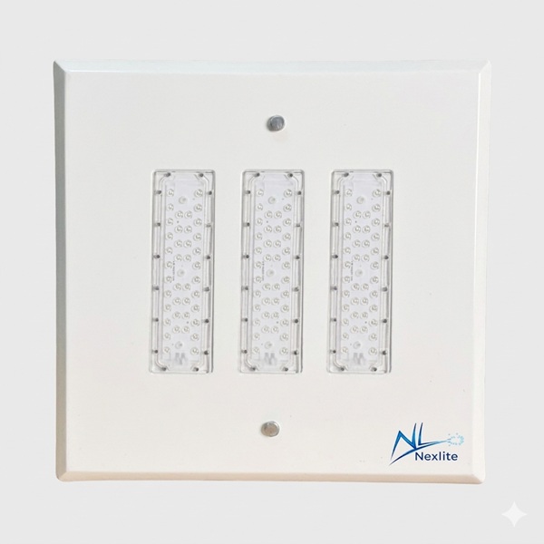 Canopy Light – Model CSL (L) 165W 1-600W